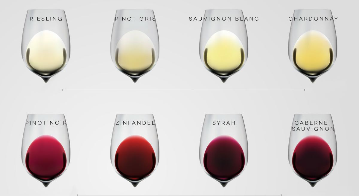 El sabor del vino en diferentes cepas y variedades